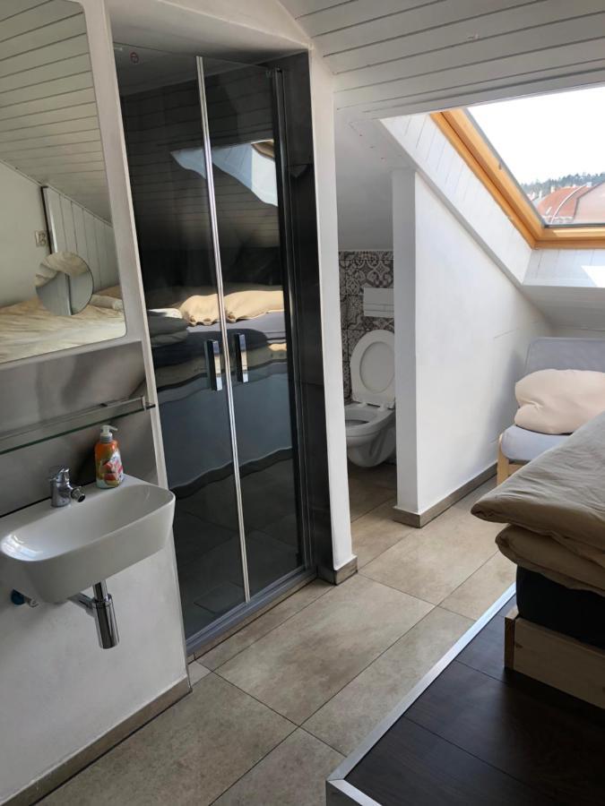 Apartman Krystof ฟรันทิชโกวี ลาซเน ภายนอก รูปภาพ